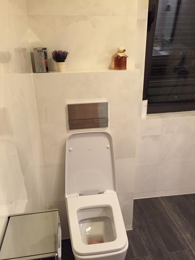 Apartment Braila พลอฟดิฟ ห้อง รูปภาพ